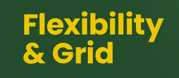 Flexibility and Grid